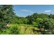 Expansive greenery with various trees that provides a sense of serenity at 6314 Providence Church Rd, Vale, NC 28168