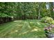 Beautifully manicured backyard with lush green grass and mature trees providing shade and privacy at 7327 Snowbird Ct, Mint Hill, NC 28227