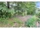 A view of the backyard showcasing the natural foliage and the layout of the landscape at 1288 Century Dr, Clover, SC 29710