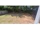 A spacious backyard featuring an expansive lawn, a partial fence line, and privacy-providing trees at 165 Brantley Place Dr, Mooresville, NC 28117