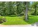 Lush green backyard featuring well-maintained lawn, mature trees and greenery at 701 4Th Ne Ave, Conover, NC 28613