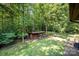 Spacious backyard with a shed that is nestled among a canopy of mature trees at 2615 Highway 557 None, Clover, SC 29710
