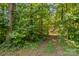 Overgrown wooded area with walking path and possible additional features at 265 River Run Rd, Statesville, NC 28625