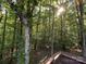 A view of the woods behind the home from the deck at 5024 Ardenwoods Dr, Charlotte, NC 28215