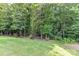 Expansive, well-maintained lawn extends to the tree line, offering a sense of seclusion at 5129 Devonshire Rd, Denver, NC 28037