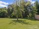 Green backyard with a large tree in the center at 4615 Lockhart Rd, Sharon, SC 29742