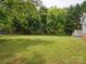 Expansive, grassy backyard featuring mature trees and lush landscaping at 1109 Manchester Ln, Charlotte, NC 28227