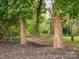 Enjoy the backyard in this hammock strung between mature trees and landscaping at 1109 Manchester Ln, Charlotte, NC 28227