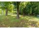 View of a fenced backyard featuring mature trees and green grass at 203 Nottingham Dr, York, SC 29745