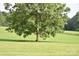 Large green space with mature tree, bird house, and beautiful landscaping at 4143 E Maiden Rd, Maiden, NC 28650