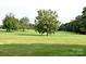 Expansive front lawn with scattered trees providing ample space and natural beauty at 4143 E Maiden Rd, Maiden, NC 28650