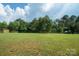 Expansive backyard featuring a vast green lawn with storage sheds, offering ample space for outdoor activities at 6785 Knotty Wood Ln, Vale, NC 28168