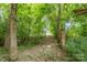 Wooded area with lush greenery and trees at 1216 Catawba Run, Lowell, NC 28098