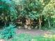 Backyard space surrounded by foliage with a view looking into the wooded area at 1834 Sharonwood Ln, Rock Hill, SC 29732