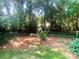 View of foliage filled backyard area at 1834 Sharonwood Ln, Rock Hill, SC 29732