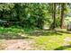 Verdant backyard view with a natural path leading towards a serene lake and wooded area at 7039 Executive Cir, Denver, NC 28037