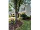 Beautiful townhouse exterior with lush landscaping, including a mature tree and manicured lawn at 9730 Elizabeth Townes Ln, Charlotte, NC 28277