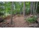 Enjoy a private backyard setting with lush trees, a path and natural landscaping at 140 Quiet Cove Rd, Mooresville, NC 28117
