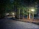 Well-lit driveway at night, lined with trees and a retaining wall, ensuring safe passage at 2156 Wedgewood Dr, Matthews, NC 28104