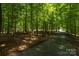 Scenic driveway winding through lush, mature trees, providing privacy and a natural setting at 2156 Wedgewood Dr, Matthews, NC 28104