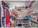 Walk-in closet provides ample storage with shelves and hanging space for clothes, books, and other items at 2358 Sparrow Dr, Rock Hill, SC 29732
