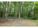 Forested backyard offers privacy with mature trees and natural setting at 3015 Rochester Ct, Monroe, NC 28110