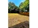 Large backyard with healthy lawn and privacy fence at 5234 Bellflower Ln, Charlotte, NC 28227