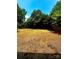 Large backyard with healthy lawn and privacy fence at 5234 Bellflower Ln, Charlotte, NC 28227