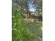 Backyard garden with fresh corn, a well, and a quaint garden structure, perfect for hobby farming at 1036 Foreman Ct, Denver, NC 28037