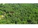 Property aerial view nestled in a densely wooded area, providing privacy and seclusion at 5212 Timber Creek Ct, Kings Mountain, NC 28086