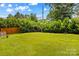 Expansive backyard with lush lawn, wooden fence, and mature privacy hedges at 564 Greenway Dr, Statesville, NC 28677