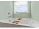Clean bathroom with a large tub next to a window letting in natural light at 210 Clove Hitch Dr, Statesville, NC 28677