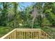 View from the home's back deck, surrounded by lush foliage and mature trees at 2732 Mayfair Ave, Charlotte, NC 28208