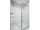 Modern shower stall features a frameless glass door and built-in shelving at 2732 Mayfair Ave, Charlotte, NC 28208