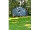View of a blue outbuilding with green grass in a treed lot at 302 Margarette Ave, Belmont, NC 28012