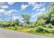 Quiet home nestled among the trees, featuring a peaceful ambiance and natural surroundings at 4124 Oakwood Rd, Charlotte, NC 28269