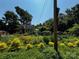 Cozy home with a lush front yard garden under a clear sky, offering serene outdoor living at 4124 Oakwood Rd, Charlotte, NC 28269