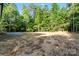 Large backyard with lush green trees at 5328 Oaktree Dr, Gastonia, NC 28052