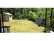 Overgrown backyard with tall grass and greenery at 202 N Dilling St, Kings Mountain, NC 28086