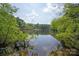 Scenic lake view with reflections of trees, creating a serene natural setting at 317 Sugar Creek Xing, Fort Mill, SC 29715
