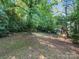 Exterior view of the green backyard of the property surrounded by natural trees at 116 Honeywood Ave, Charlotte, NC 28216
