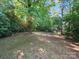 Expansive backyard featuring mature trees providing ample shade, ideal for outdoor activities and relaxation at 116 Honeywood Ave, Charlotte, NC 28216