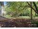 Lush backyard featuring a mix of green grass, mature trees, and natural landscaping elements at 404 Community St, Rock Hill, SC 29730
