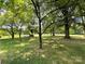 Lush green front yard with mature shade trees and a driveway with a parked car in the background at 506 Hearne Farm Rd, Mount Gilead, NC 27306