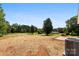 Expansive backyard with a large grassy area surrounded by mature trees and distant structures at 1019 S Main St, Granite Quarry, NC 28146
