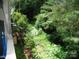 Backyard view featuring mature trees and surrounding foliage for privacy at 257 Rolling View Dr, New London, NC 28127