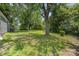 A spacious backyard features mature trees, providing ample shade, with partial house view at 3015 Lasalle St, Charlotte, NC 28216