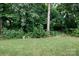 A wide open back yard has a large tree and border of potted plants at 238 Pointe Cir, Rock Hill, SC 29732