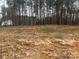 Cleared homesite surrounded by trees, with home visible in distance, ready to be built on at 1524 Conestoga Xing, Catawba, NC 28609