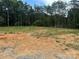 Cleared homesite surrounded by mature trees offers privacy and space for a new home at 1524 Conestoga Xing, Catawba, NC 28609